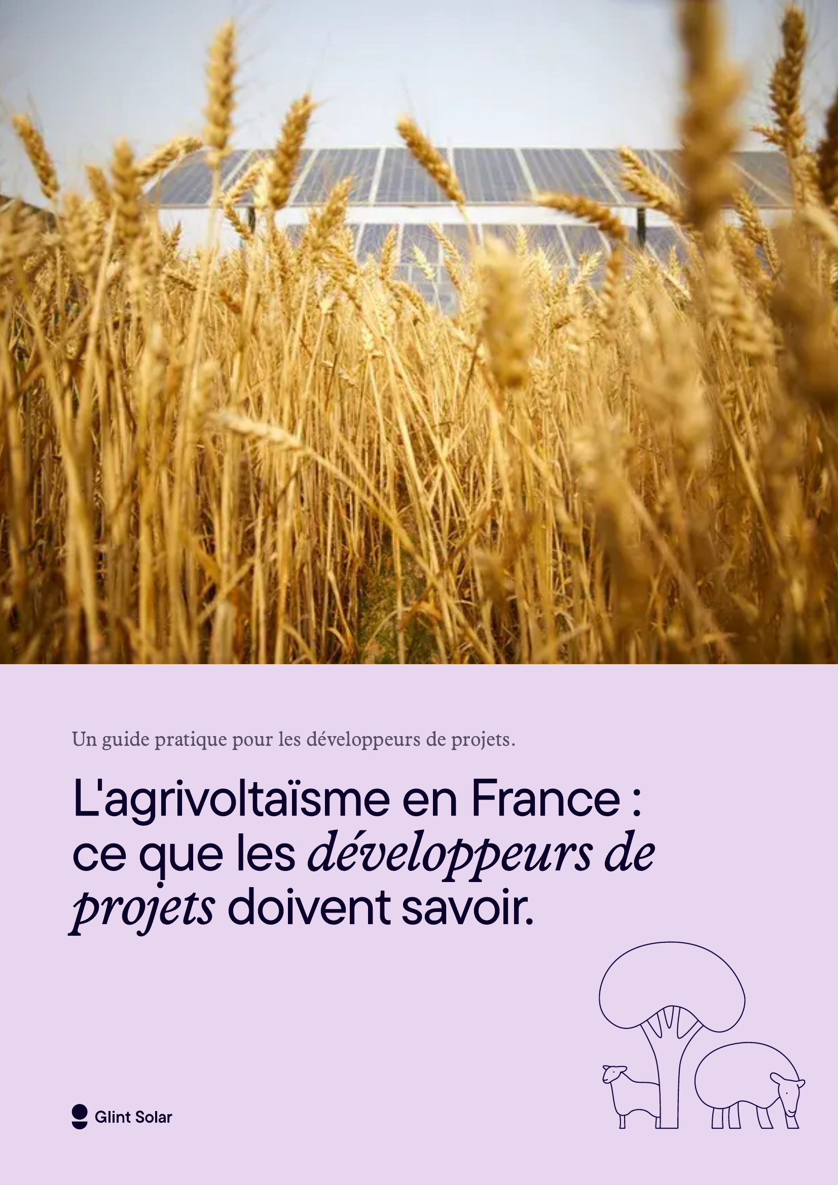 Couverture du guide : L’agrivoltaïsme en France, ce que les développeurs de projets doivent savoir