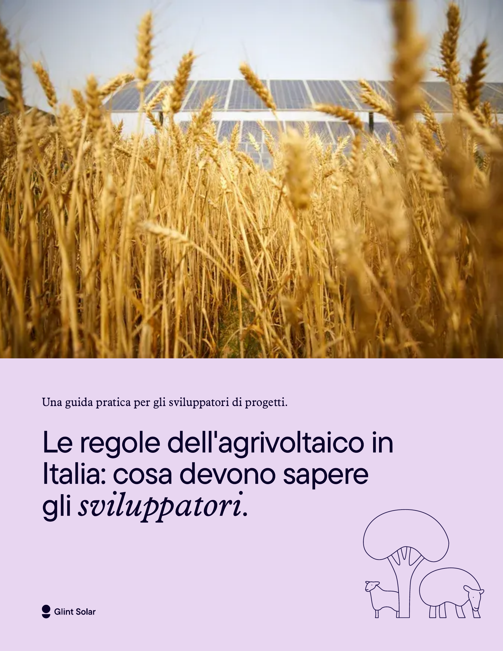 Copertina della guida: Le regole dell'agrivoltaico in Italia, cosa devono sapere gli sviluppatori