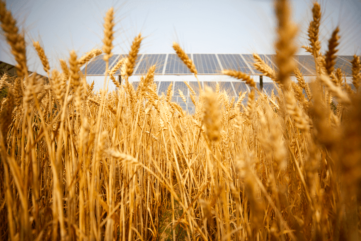 European Solar Consortium Research Project to Accelerate Agri-PV Adoption