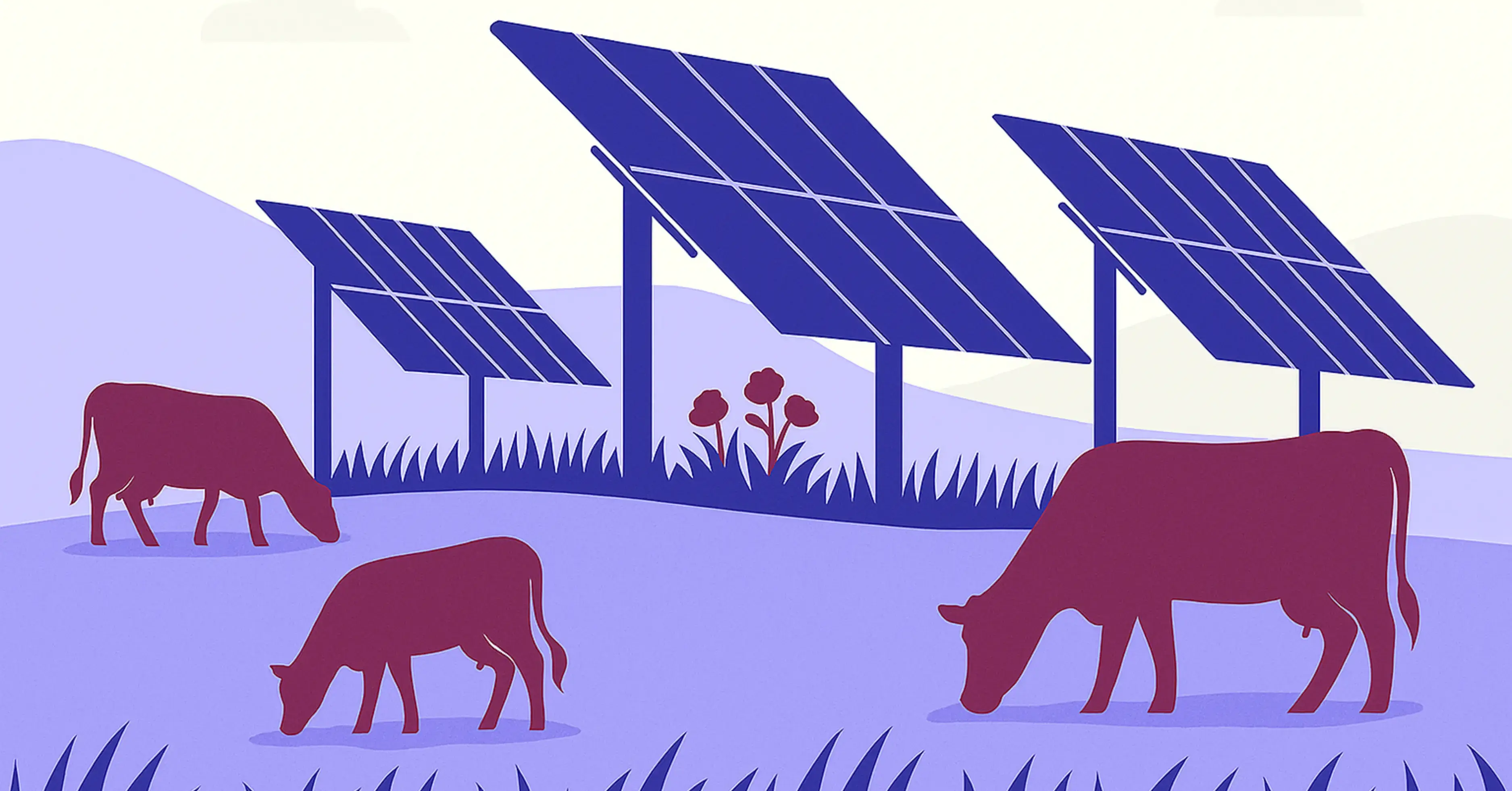How to Evaluate Sites for Dual-Use Agri-PV Projects