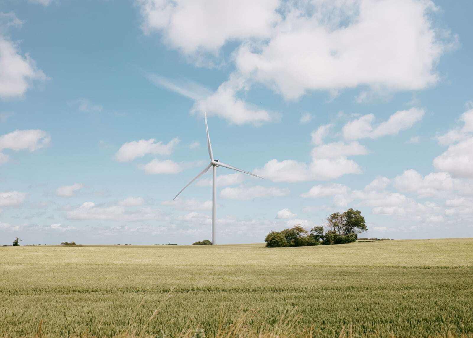 Wind turbine and solar field